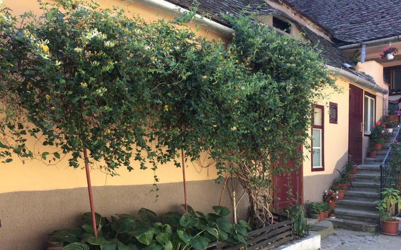 Iony Apartament Sibiu Exterior foto